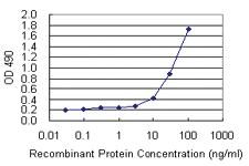 Anti-SFTPA1 Mouse Monoclonal Antibody (Biotin)