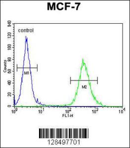 Anti-CYB561D1 Rabbit Polyclonal Antibody