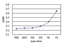 Anti-ESD Antibody Pair