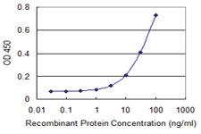 Anti-UBA6 Mouse Monoclonal Antibody [clone: 1D11]