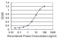 Anti-UBA6 Mouse Monoclonal Antibody [clone: 1F9]