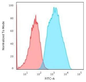 Flow cytometric analysis of trypsinised MCF-7 cells using Anti-EpCAM Antibody [EGP40/1556R] followed by Goat Anti-Rabbit IgG (CF&#174; 488) (Blue). Isotype Control (Red).