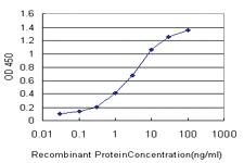 Anti-SRSF3 Mouse Monoclonal Antibody [clone: 2D2]