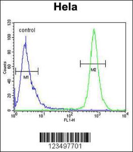 Anti-TRAPPC3 Rabbit Polyclonal Antibody (HRP (Horseradish Peroxidase))