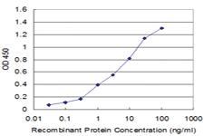 Anti-PI15 Mouse Monoclonal Antibody [clone: 3B5]