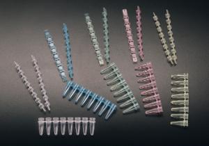 Barrettes de microtubes pour PCR 0,2 ml, Amplitube™