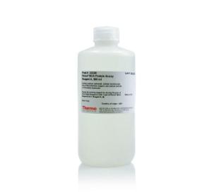 BCA protein assay reagent A