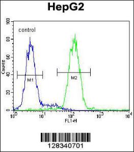 Anti-CCDC17 Rabbit Polyclonal Antibody