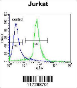 Anti-RBM14 Rabbit Polyclonal Antibody (PE (Phycoerythrin))