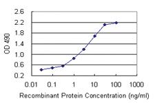 Anti-PNMA1 Polyclonal Antibody Pair