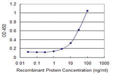 Anti-FGGY Mouse Monoclonal Antibody [clone: 3B9]