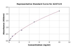 Representative standard curve for Human Noelin ELISA kit (A247123)