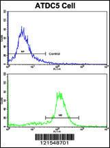 Anti-NADH Dehydrogenase Fe-S Protein 4 Rabbit Polyclonal Antibody (HRP (Horseradish Peroxidase))