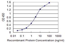 Anti-MANF Mouse Monoclonal Antibody [clone: 1D10]