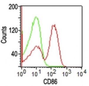 Flow cytometric analysis of human PBMCs using Anti-CD86 Antibody [BU63] followed by Goat Anti-Mouse IgG (CF&#174; 488) (Red). Isotype Control (Green).