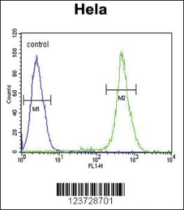 Anti-PTPRN Rabbit Polyclonal Antibody