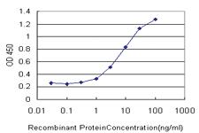 Anti-GRK1 Mouse Monoclonal Antibody [clone: 1G8]