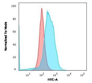 Flow cytometric analysis of PFA fixed Ramos cells using Anti-CD86 Antibody [BU63] followed by Goat Anti-Mouse IgG (CF&#174; 488) (Blue). Isotype Control (Red).