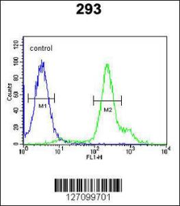 Anti-RBM24 Rabbit Polyclonal Antibody