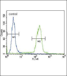 Anti-Microglobulin Rabbit Polyclonal Antibody