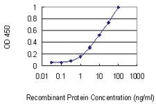 Anti-SIGLEC10 Mouse Monoclonal Antibody [clone: 1D11]