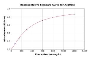 Representative standard curve for Human MATH1 / HATH1 ELISA kit (A310857)