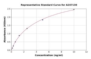 Representative standard curve for Human CD20 ELISA kit (A247130)