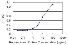 Anti-NAV2 Mouse Monoclonal Antibody [clone: 4D11]