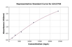 Representative standard curve for human Arp3 ELISA kit (A313758)