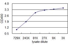 Anti-SFTPD Mouse Monoclonal Antibody (Biotin)