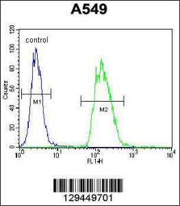 Anti-TRIM43 Rabbit Polyclonal Antibody