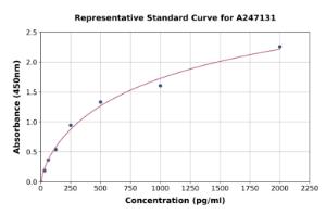 Representative standard curve for Human SOX6 ELISA kit (A247131)