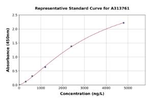 Representative standard curve for mouse Tissue Kallikrein ELISA kit (A313761)