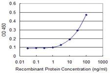 Anti-WDR77 Mouse Monoclonal Antibody [clone: 3F10]