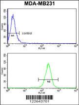 Anti-NCF1C Rabbit Polyclonal Antibody (APC (Allophycocyanin))