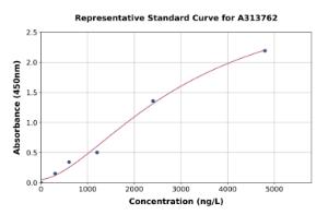 Representative standard curve for mouse N Cadherin ELISA kit (A313762)