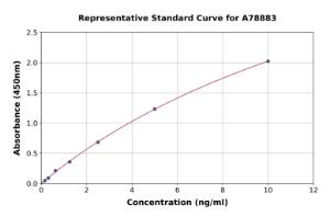 Representative standard curve for Human Talin 1 ELISA kit (A78883)