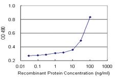 Anti-PHF11 Antibody Pair