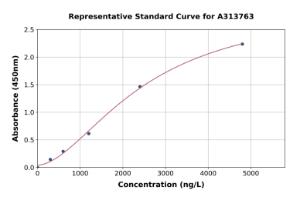 Representative standard curve for human YWHAE ELISA kit (A313763)