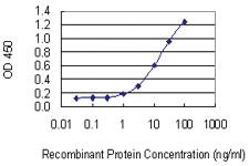 Anti-RASA1 Mouse Monoclonal Antibody [clone: 2C12]