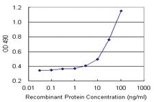 Anti-PHF11 Polyclonal Antibody Pair