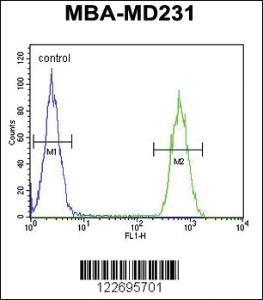 Anti-CLTA Rabbit Polyclonal Antibody