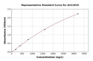 Representative standard curve for Mouse GDF8/Myostatin ELISA kit (A312919)