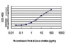 Anti-PLA2G7 Mouse Monoclonal Antibody [clone: 5D1]