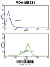 Anti-BCL2A1 Rabbit Polyclonal Antibody