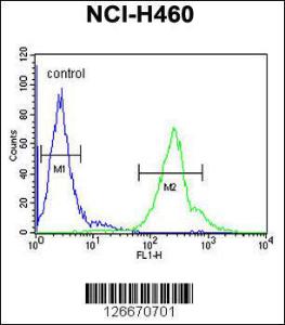 Anti-CCDC69 Rabbit Polyclonal Antibody (FITC (Fluorescein Isothiocyanate))