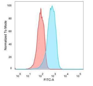 Anti-Estrogen Receptor beta 2 Mouse Monoclonal Antibody [clone: 57/3]