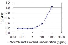 Anti-TRA Mouse Monoclonal Antibody [clone: 4H8]