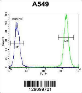 Anti-TRIM9 Rabbit Polyclonal Antibody (APC (Allophycocyanin))