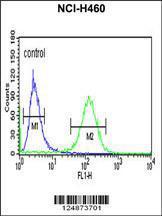 Anti-RAB27B Rabbit Polyclonal Antibody (Biotin)